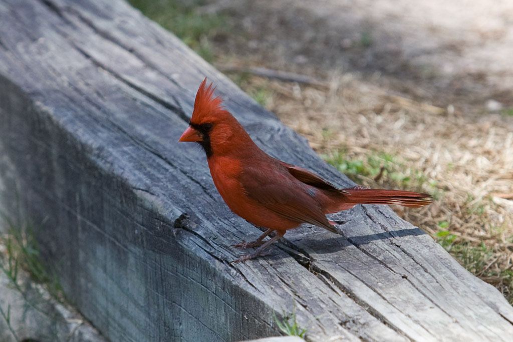 281883307_BVw89-O.jpg