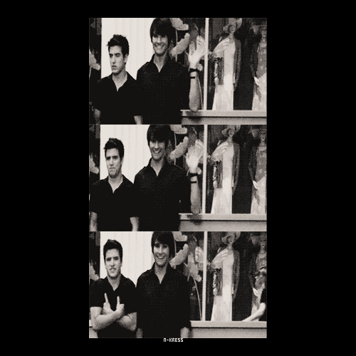 tumblr_lp6pgbdSHs1qjs8vqo1_500.gif