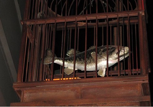 fishie1.jpg