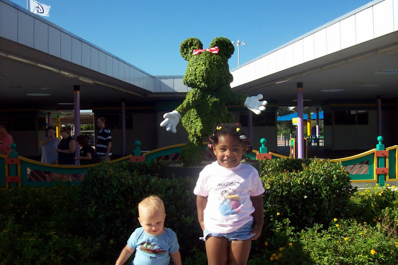 image%20474.jpg