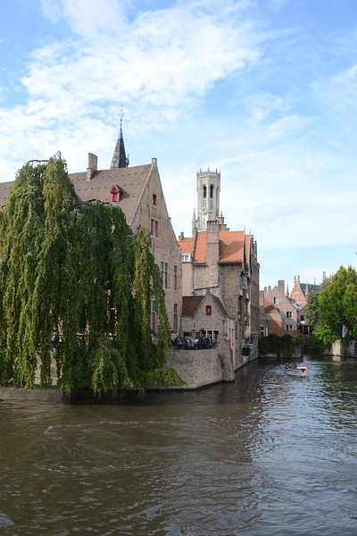 DSC_1482-001-L.jpg