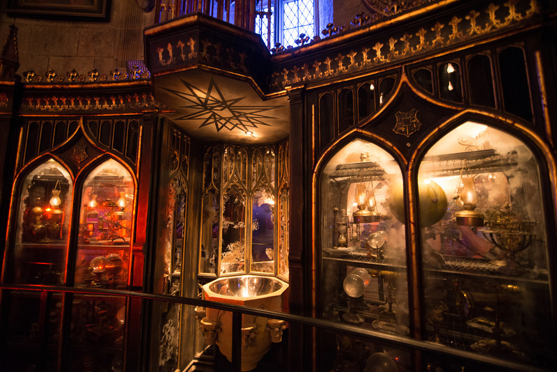 DSC_2780-L.jpg