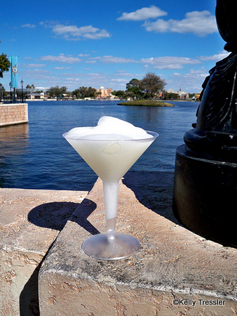 grey-goose-slush-kelly-tressler.jpg