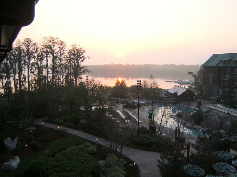 229386534_aQ258-L.jpg