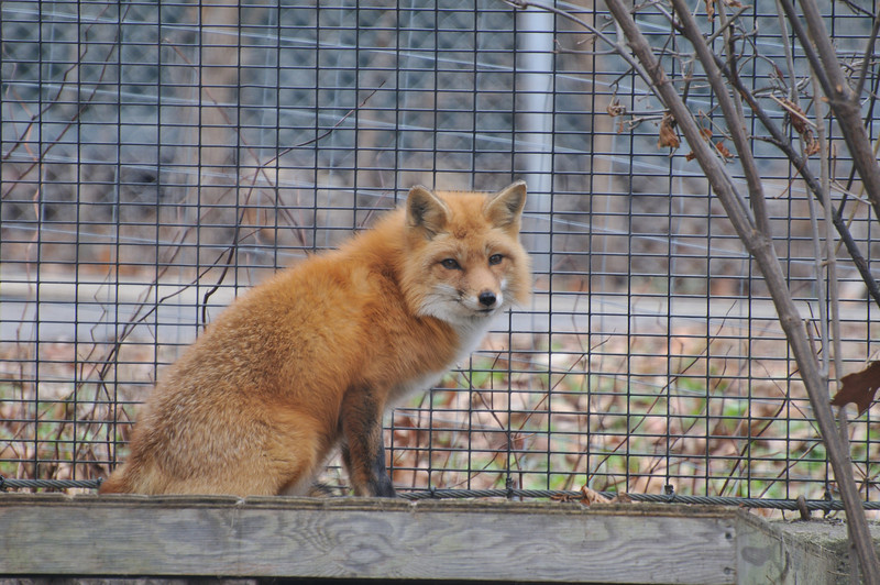 430742068_pH9Ny-L.jpg