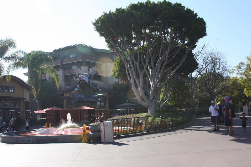IMG9412-L.jpg
