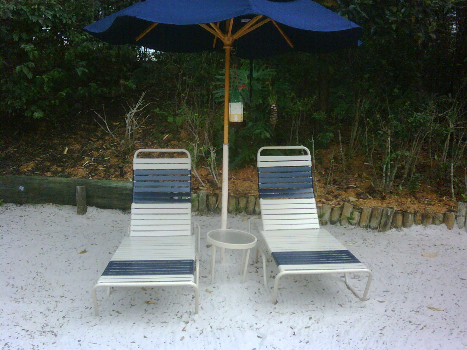 typhoonlagoonchairrental.jpg