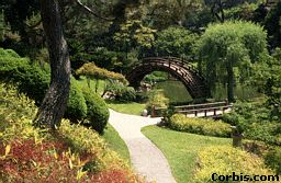 japansetuin1.jpg