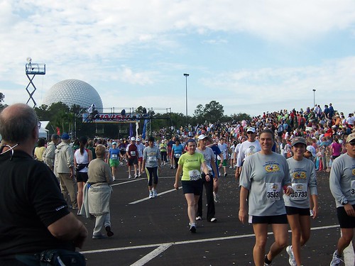 2204819688_fc31eb12dc.jpg
