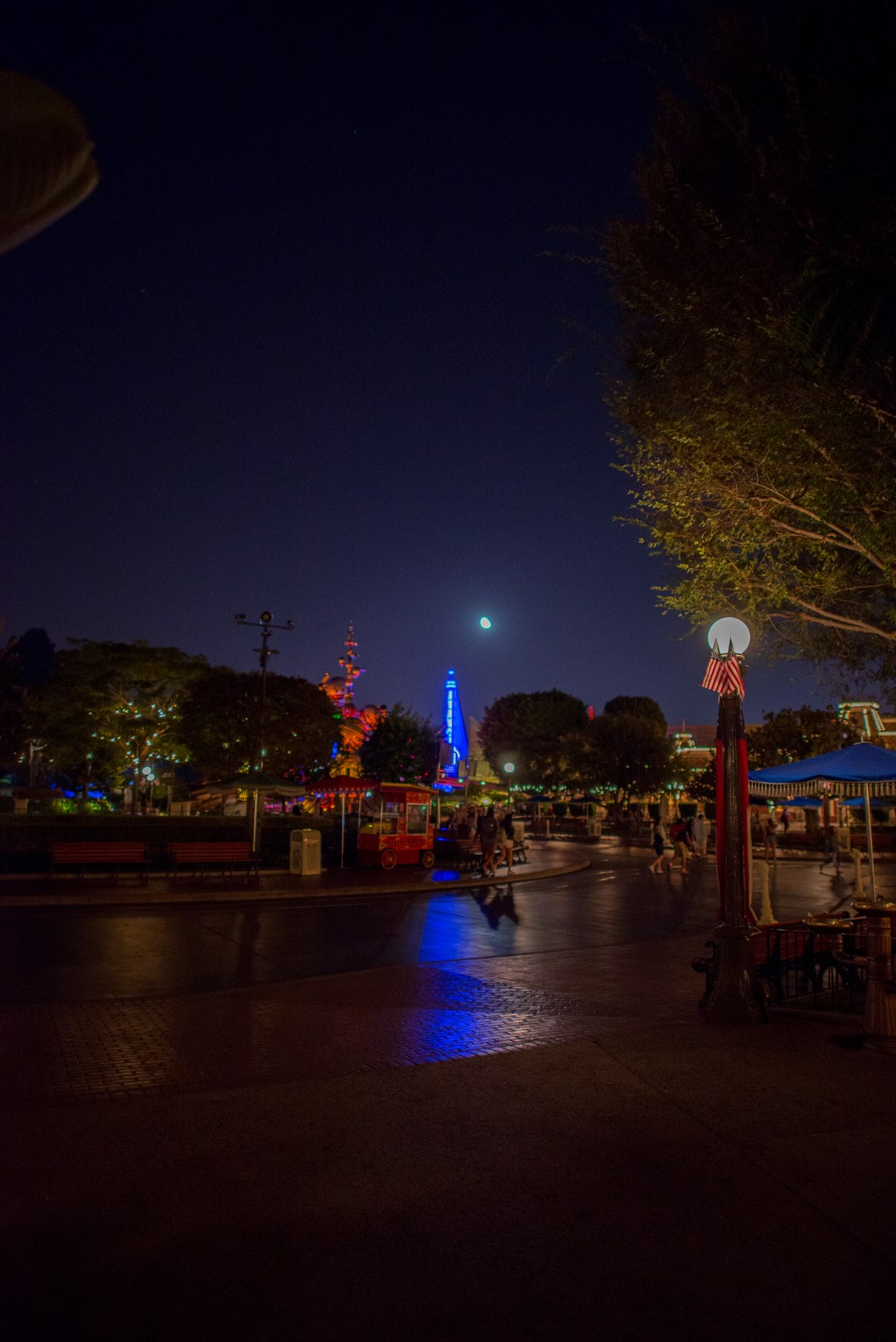 DSC_1021%20(Large).jpg