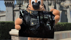 tumblr_lt2xencW3c1qgcqyeo6_250.gif