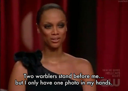 tumblr_lnc18qUnIR1qi3h06o1_500.gif