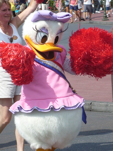 2736223564_d6153ac3b5.jpg