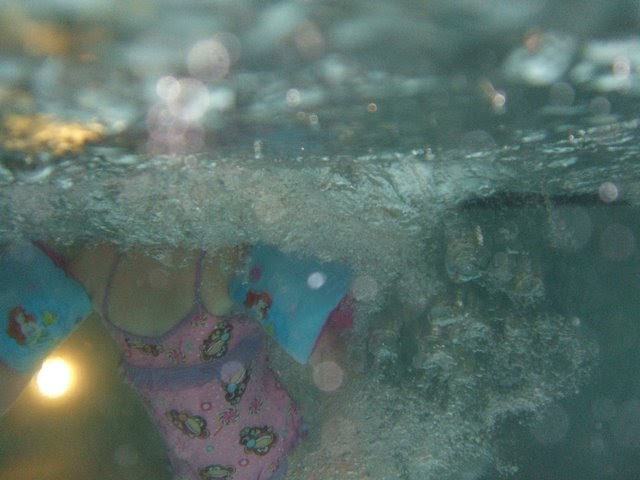 DSCF5413.JPG