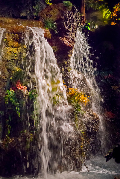 DSC_0658-L.jpg