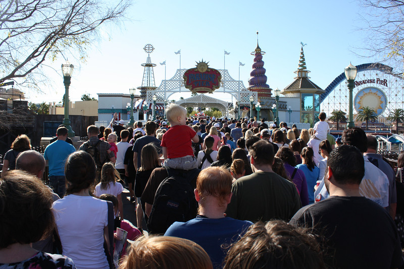 IMG9809-L.jpg
