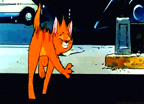 tumblr_lknrdlN73T1qicp37o1_500.gif
