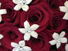1731740017_b715c51cfe_m.jpg