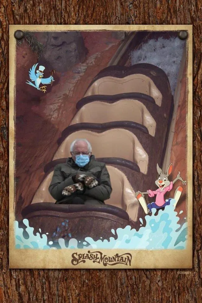 bernie-splash-mountain-meme-735x1103.jpg.webp