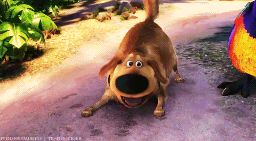 dug%2Bplay%2Bbow%2Brunning%2Bin%2Bcircles.gif