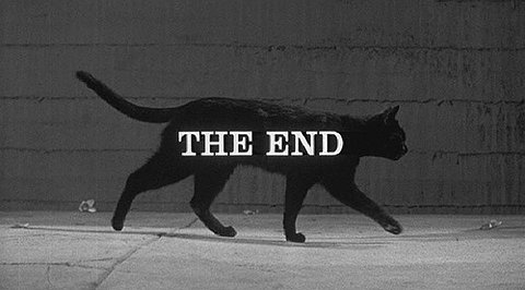the+end+cat.jpg