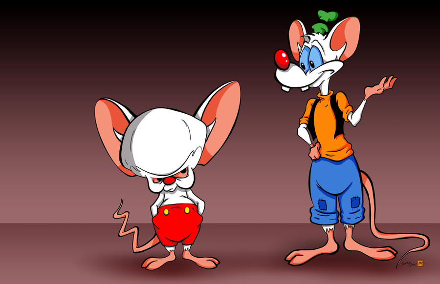 disney__s_pinky_and_the_brain_by_ginger_roots-d30jfr9.jpg