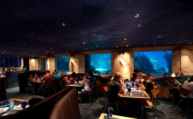 WDW-Aug-4-pm-51-of-57-L.jpg