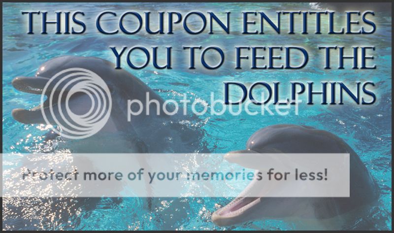 dolphin_giftcertificate.jpg