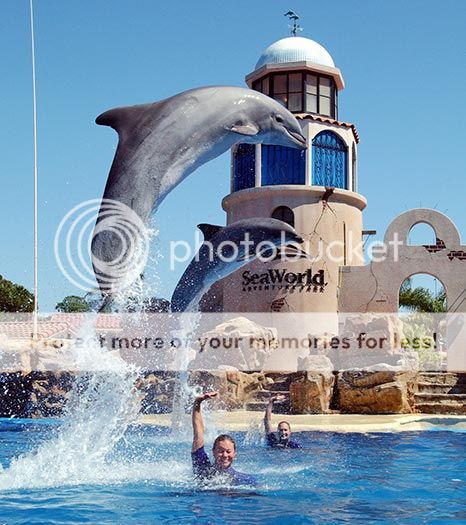 seaworld-orlando.jpg