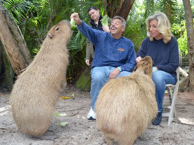 capybara1_zps48r5i4ph.jpg