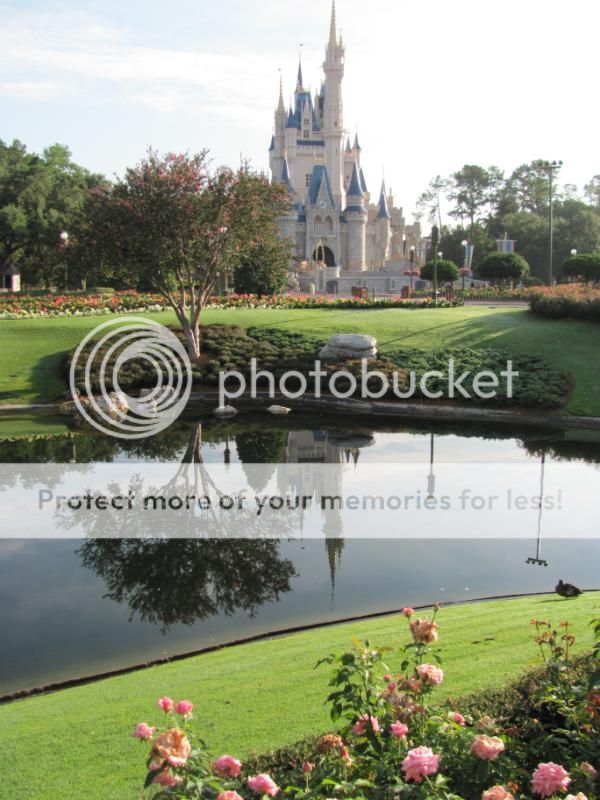 disneysummmmer116.jpg