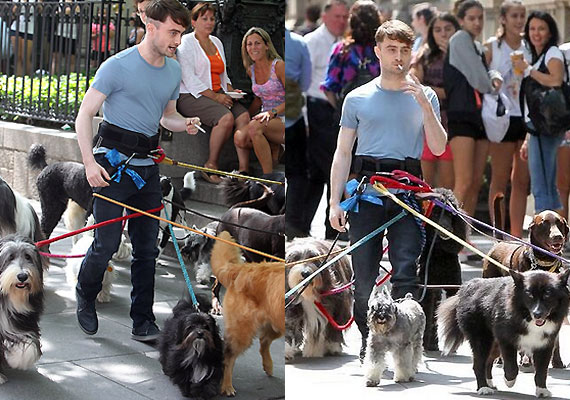 daniel-radcliffe-walks-pet-dogs.jpg