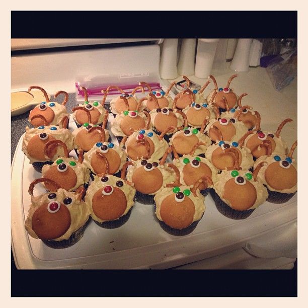 reindeercupcakes.jpg