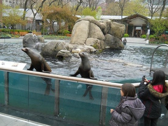central-park-zoo.jpg