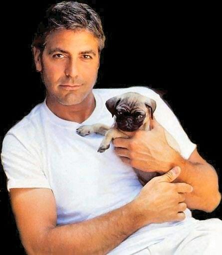 george_clooney_02.jpg