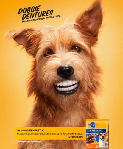 funny-dental-picture-106-doggie-denture.jpg