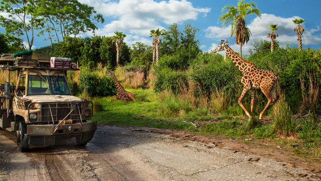 9 Awesome Facts & Secrets About Kilimanjaro Safaris | Theme Park Trader