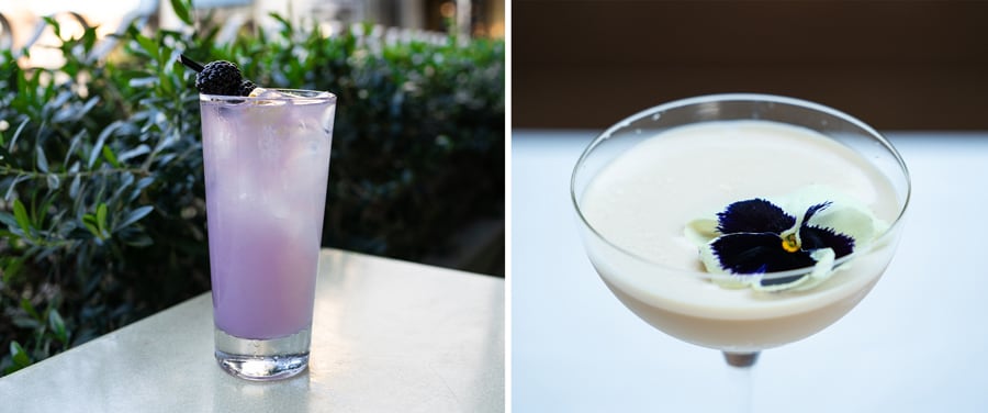 Catal Restaurant and Uva Bar & Cafe Lavender Honor and Naples Ristorante Enchanted Centuria Martini available in Downtown Disney District Catal Restaurant and Uva Bar & Cafe Lavender Honor and Naples Ristorante Enchanted Centuria Martini available in Downtown Disney District