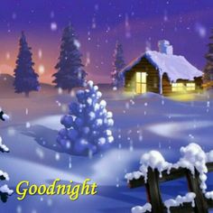 cb036448d497ea6ae5c5329c713576c8--holidays--christmas-holidays.jpg