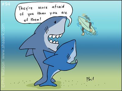 We've done a lot of articles here on Aquaviews about Sharks and Shark Attacks; from serious ones like- The Cruel Truth About The Biggest Predators of the S