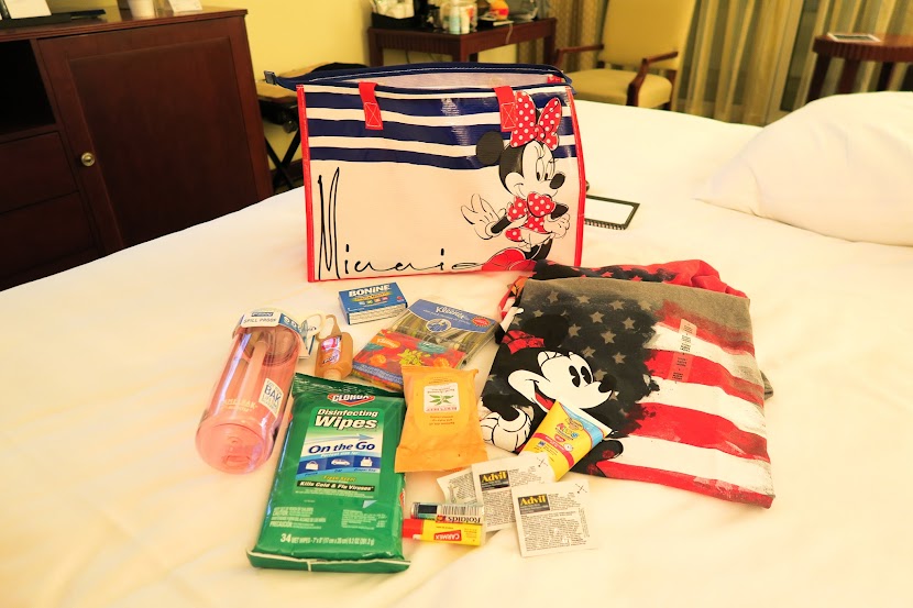 Disney%2BMagic%2B2015-52.jpg