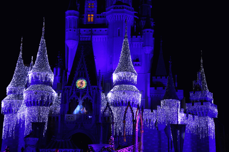 IMG_7887-TWINKLE.gif