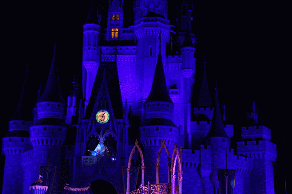 IMG_7881-MOTION.gif