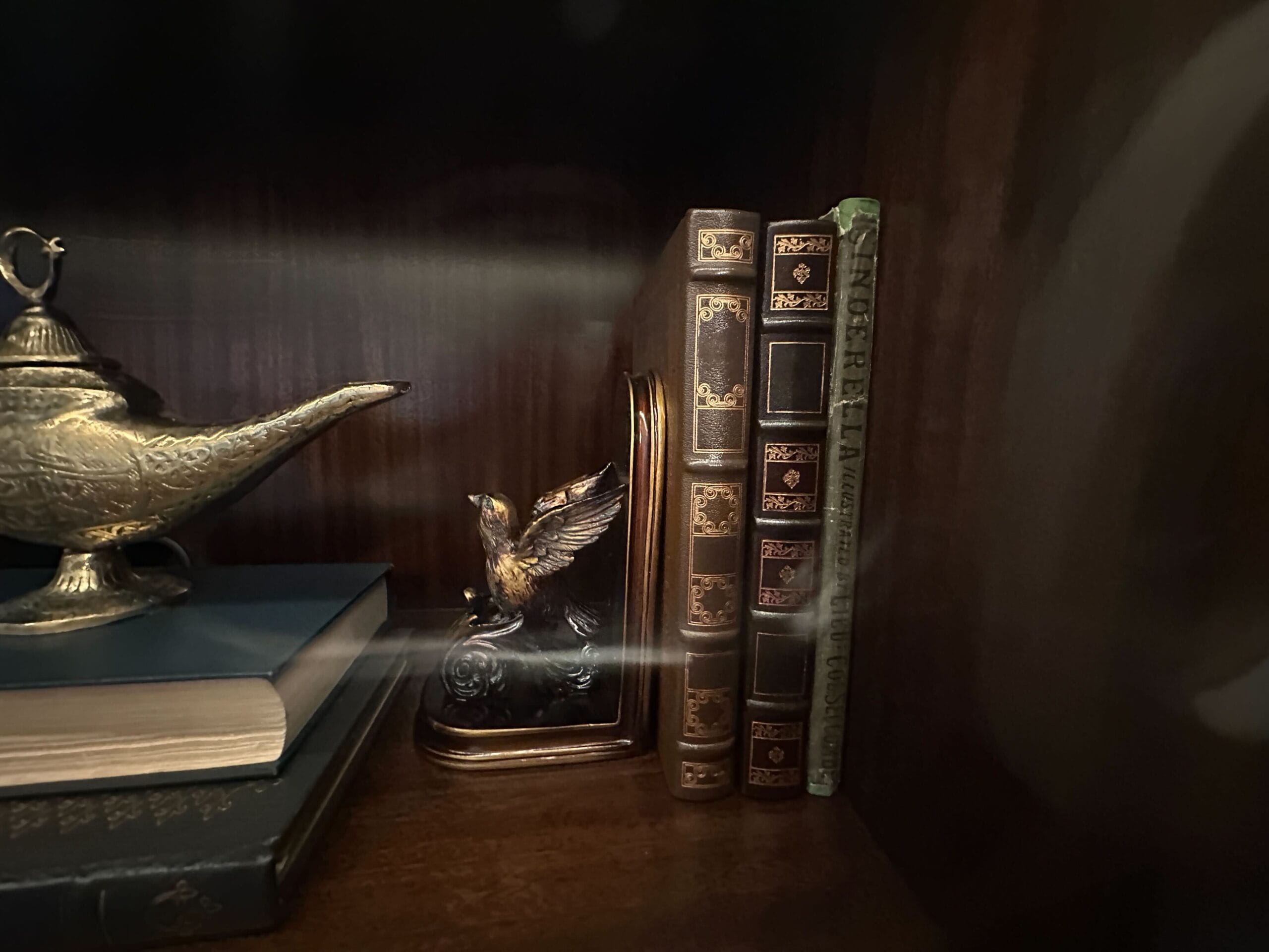 A brass lamp, a bird bookend, and three ornate books rest on a dark wooden shelf in a glass-front display case in the refurbished Grand Floridian lobby bar. A brass lamp, a bird bookend, and three ornate books rest on a dark wooden shelf in a glass-front display case in the refurbished Grand Floridian lobby bar.