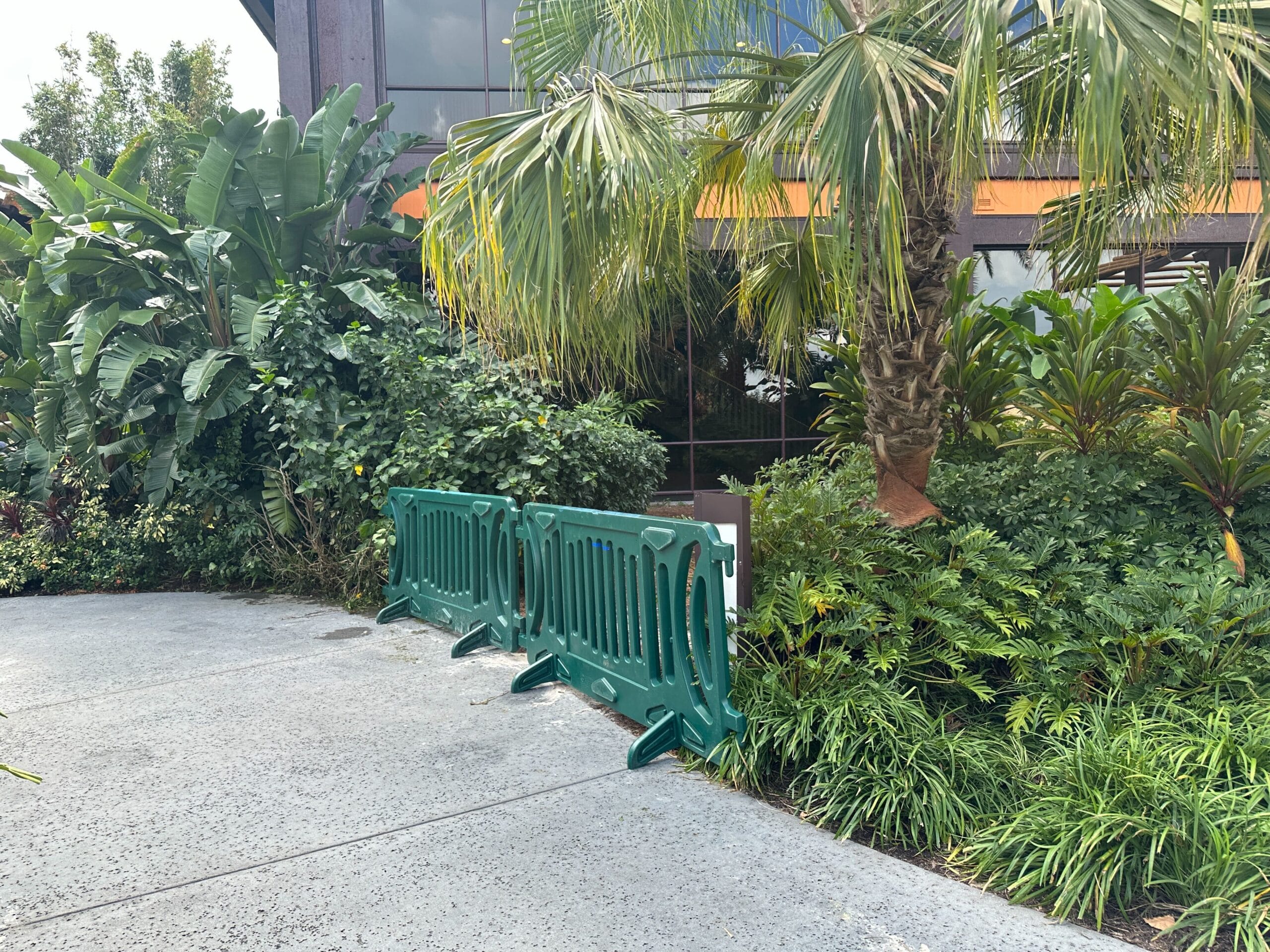 Two green plastic barriers block a walkway lined with lush plants beside a building with glass windows, typical of Disney park renovations. Two green plastic barriers block a walkway lined with lush plants beside a building with glass windows, typical of Disney park renovations.