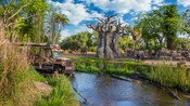 kilimanjaro-safaris-00.jpg