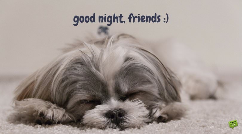 good-night-friends.-A-dog-sleeping.-FB.jpg