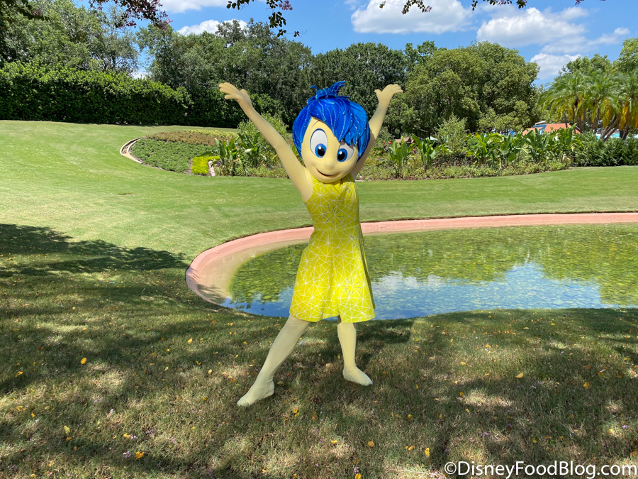 WDW-2020-Epcot-Re-Open-Joy-in-a-Field-3.jpg